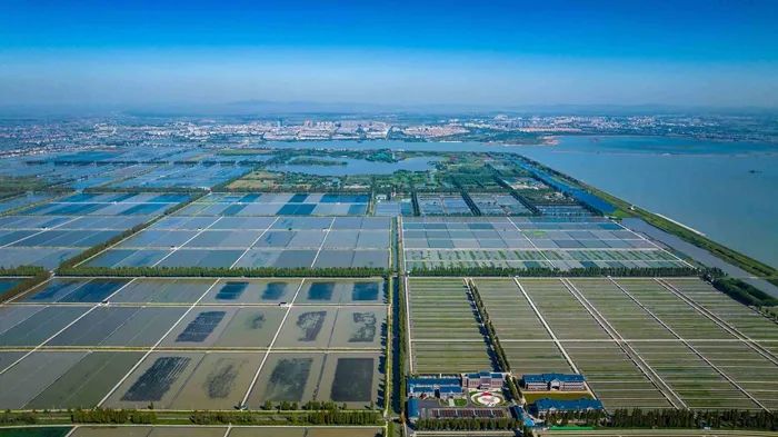 航拍高淳固城湖螃蟹核心區(qū)。高淳區(qū)融媒體中心供圖